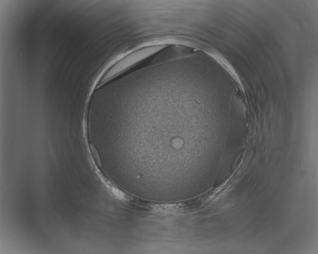 X0000075380813200610061837