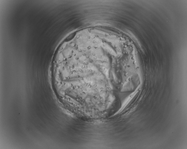 X0000075380814200610061837