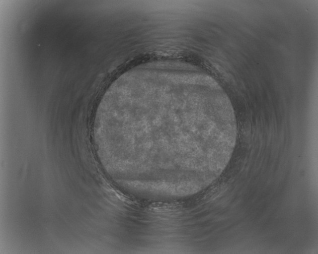 X0000075380817200610061836