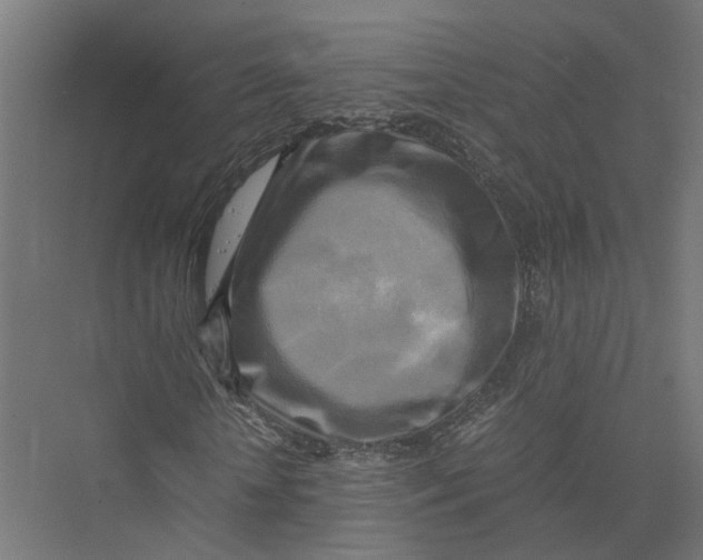 X0000075380818200610061836