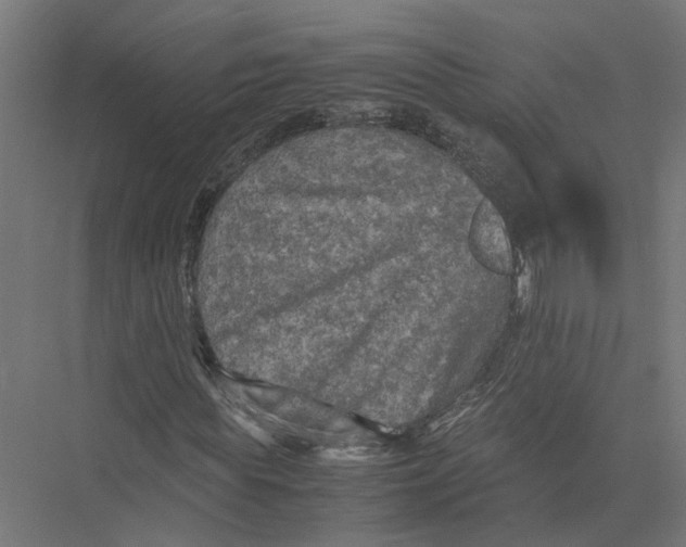 X0000075380819200610061836