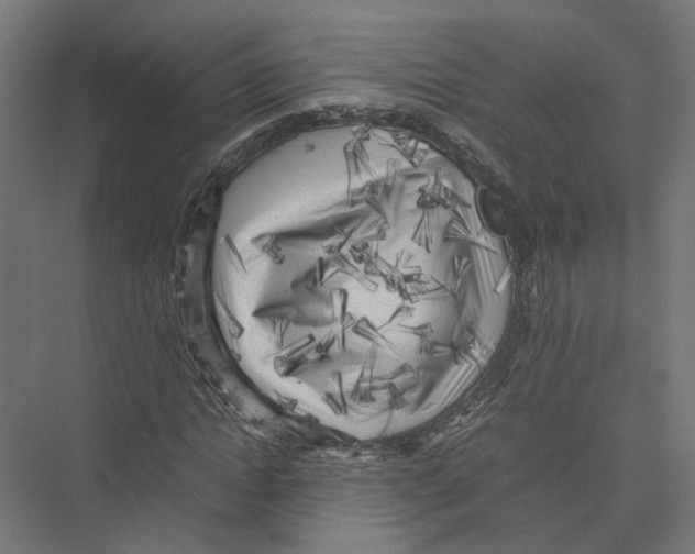 X0000075380822200610061836