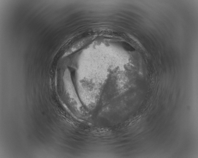 X0000075380823200610061836