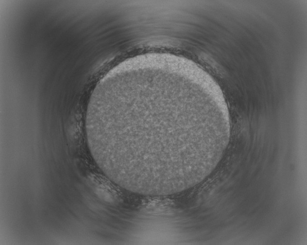 X0000075380824200610061836