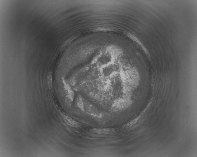 X0000075380825200610061836