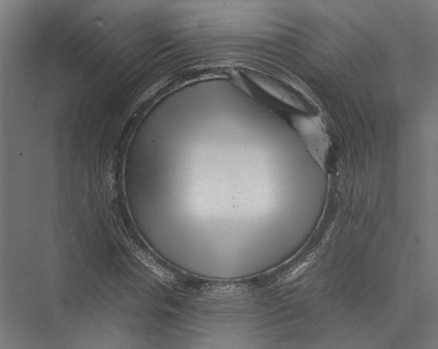 X0000075380826200610061836