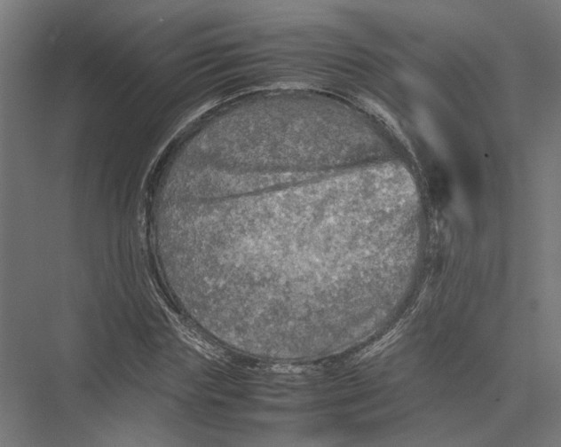 X0000075380827200610061836