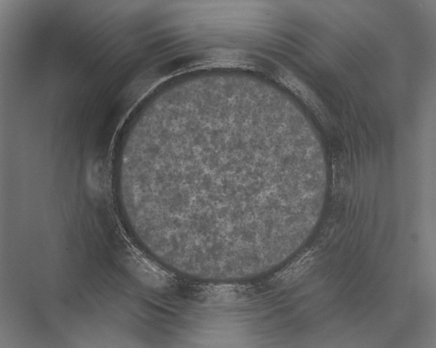 X0000075380828200610061836