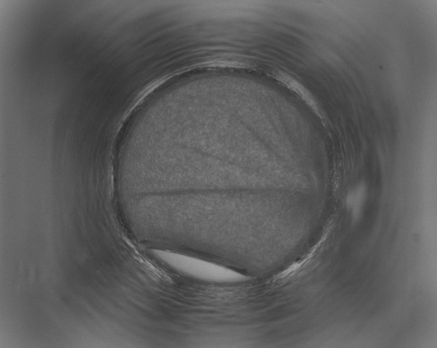 X0000075380829200610061836