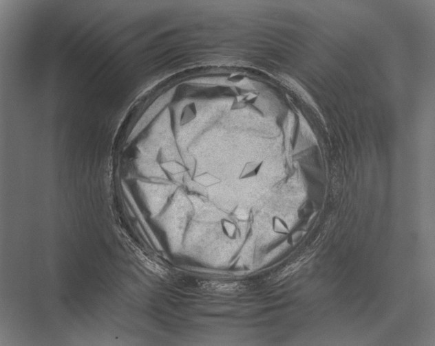 X0000075380831200610061836