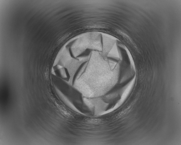 X0000075380833200610061836