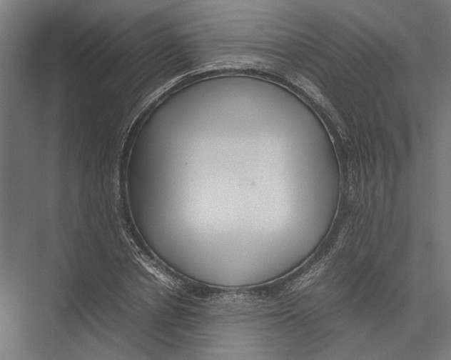 X0000075380834200610061836