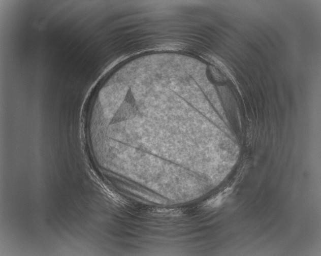 X0000075380835200610061836