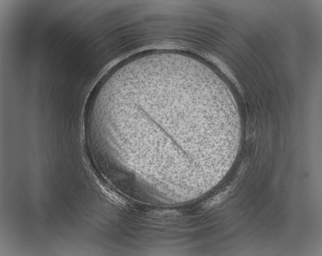 X0000075380837200610061837