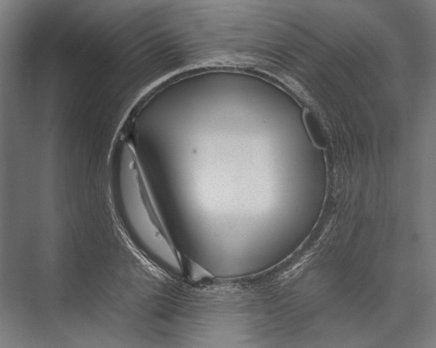 X0000075380838200610061837