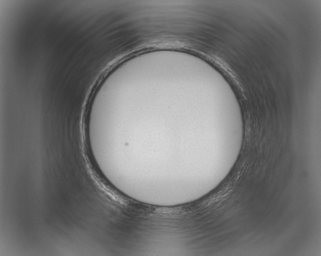 X0000075380840200610061837