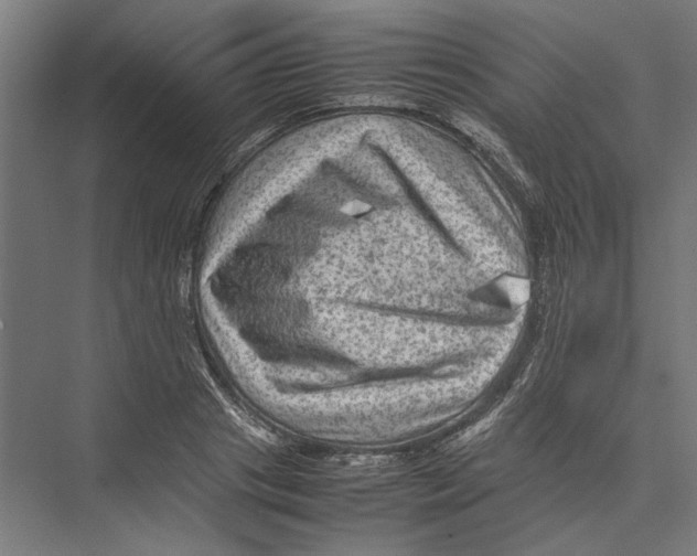 X0000075380841200610061837