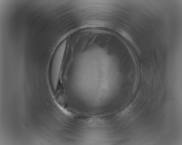 X0000075380842200610061837