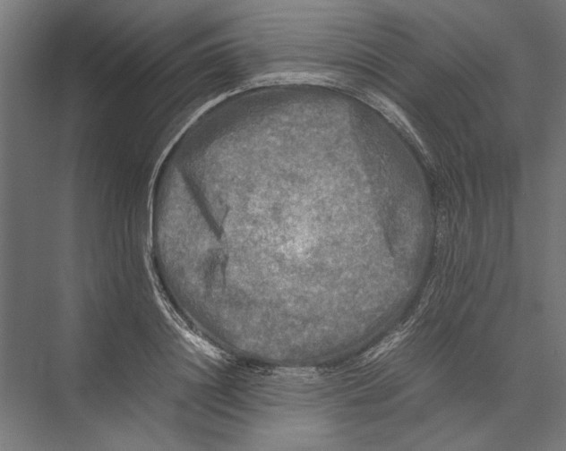 X0000075380844200610061837