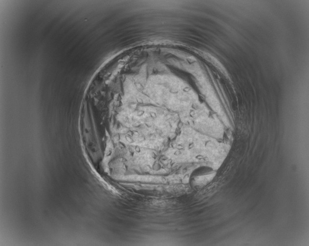 X0000075380847200610061837