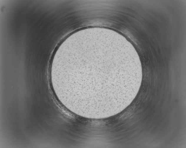 X0000075380848200610061837