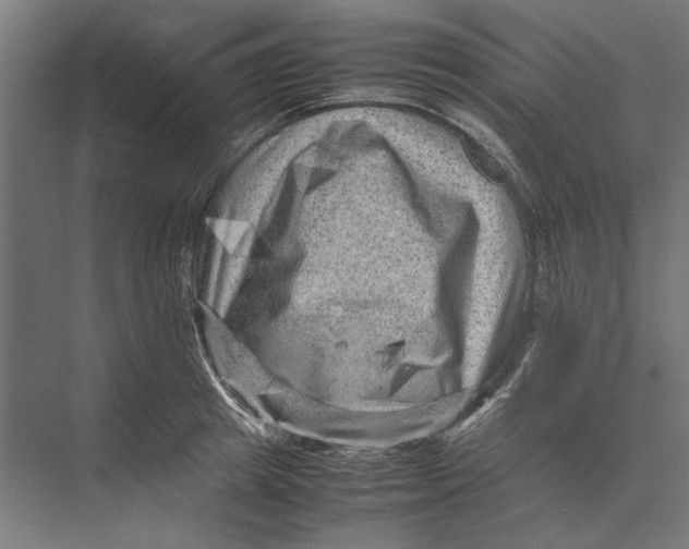 X0000075380849200610061837