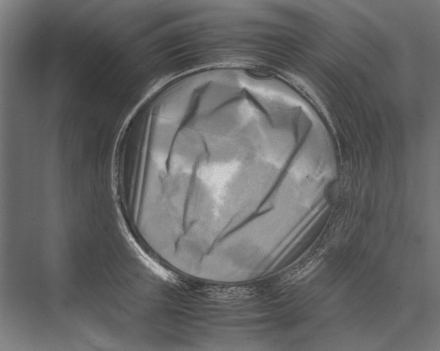 X0000075380851200610061837