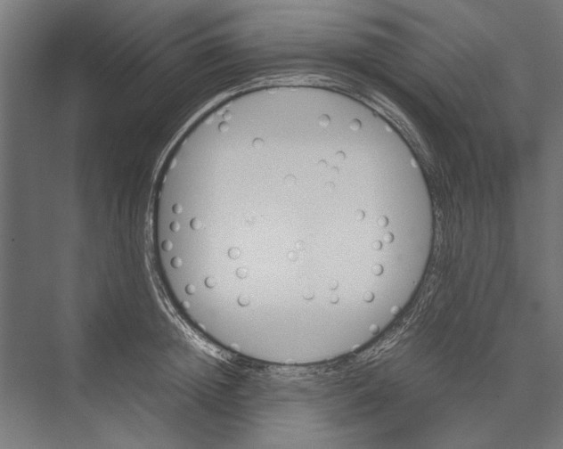 X0000075380852200610061837