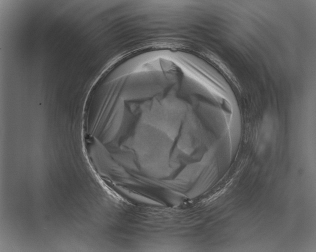 X0000075380853200610061837