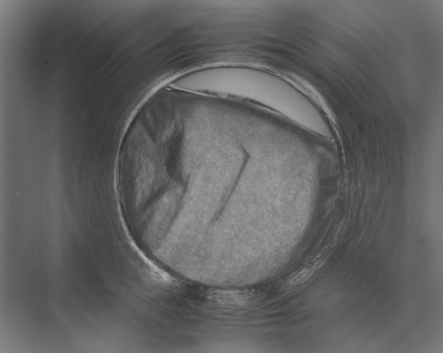 X0000075380855200610061837