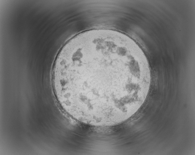 X0000075380856200610061837