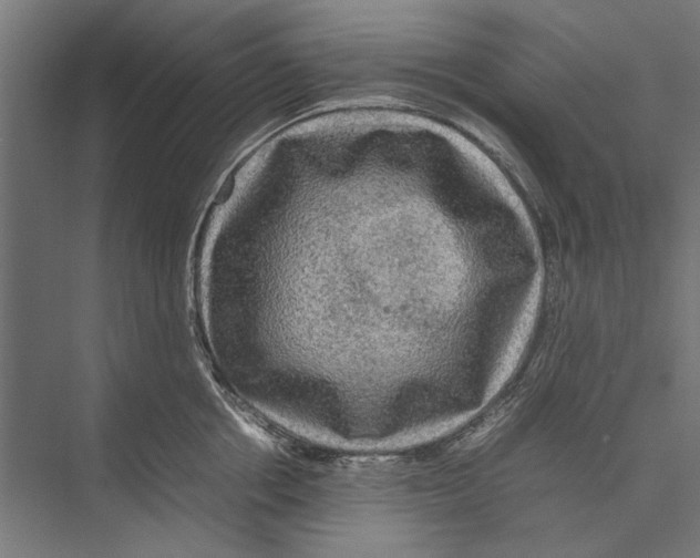 X0000075380858200610061837