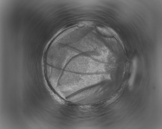 X0000075380859200610061837