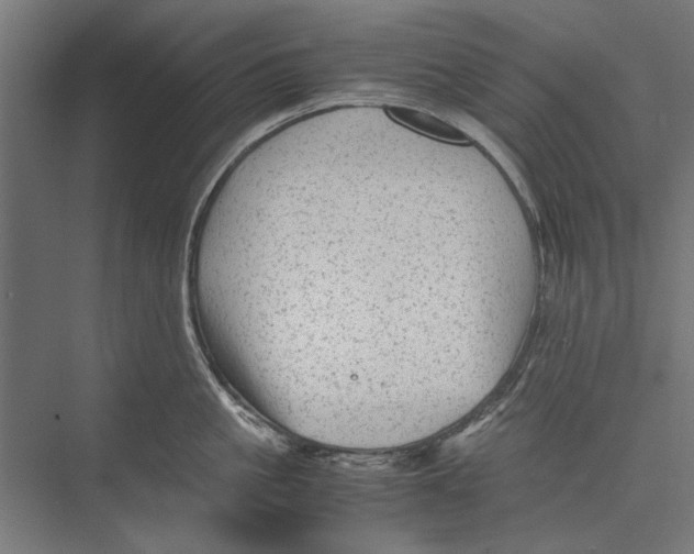 X0000075380861200610061837