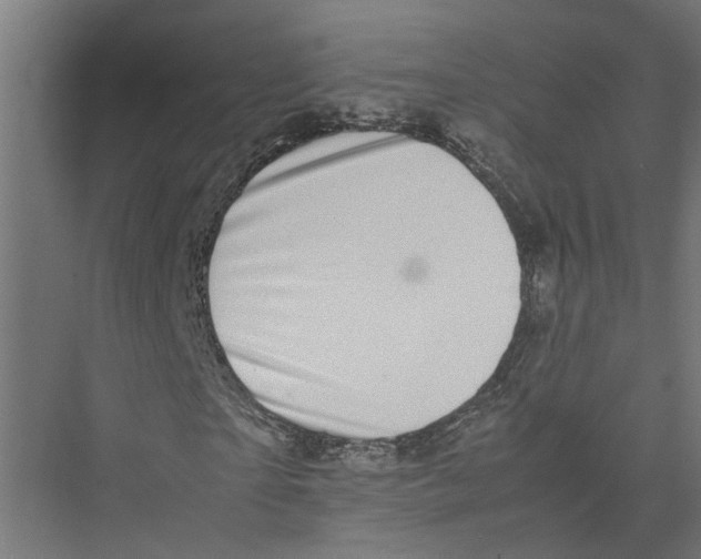 X0000075380865200610061836