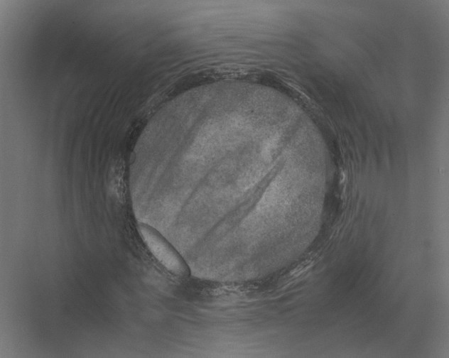 X0000075380867200610061836