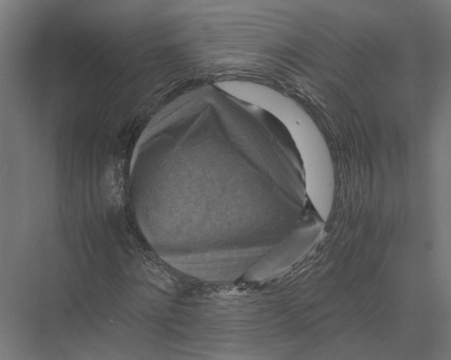 X0000075380868200610061836