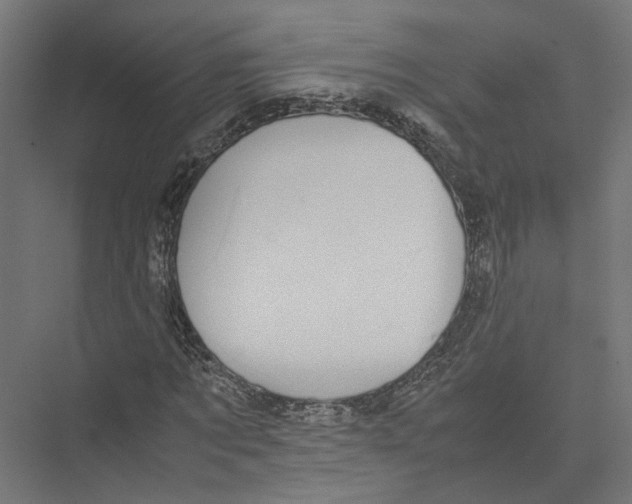 X0000075380869200610061836