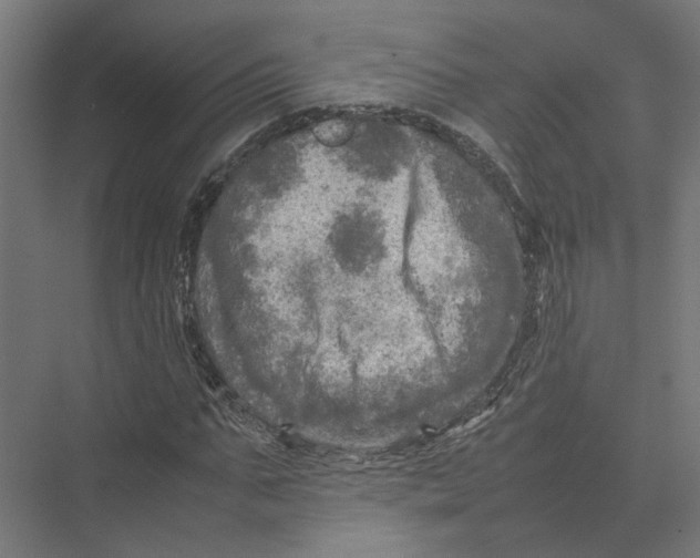 X0000075380871200610061836