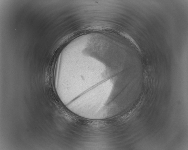 X0000075380874200610061836