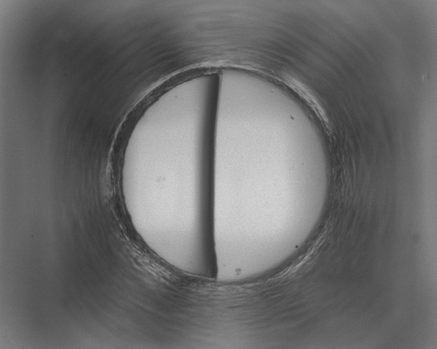 X0000075380876200610061836