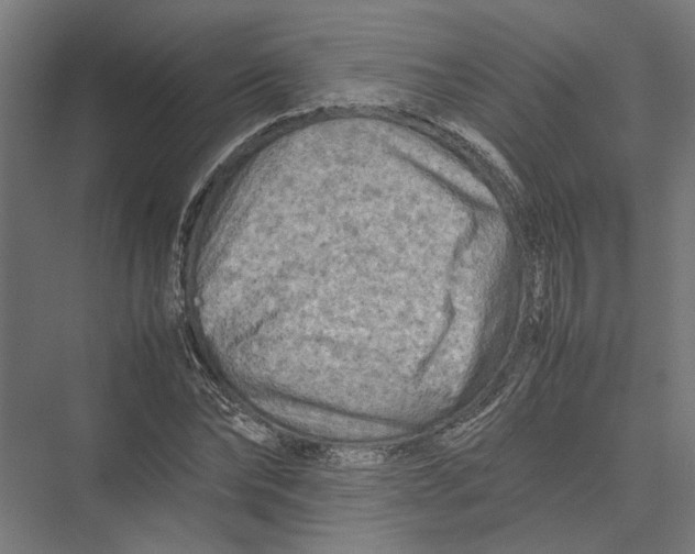 X0000075380878200610061836