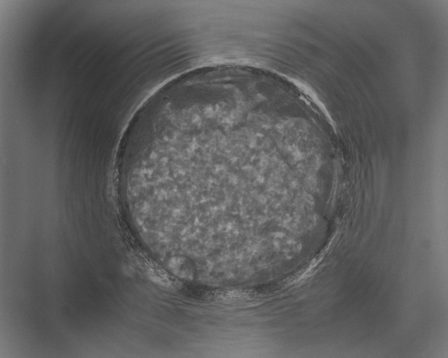 X0000075380879200610061836