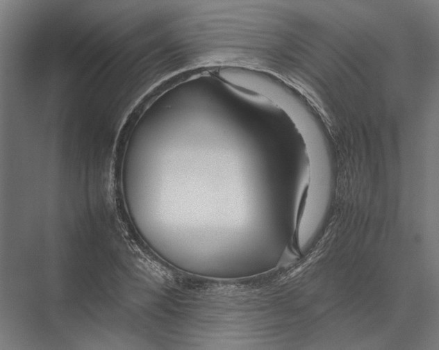 X0000075380880200610061836