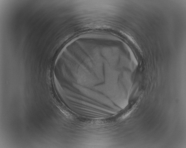 X0000075380881200610061836