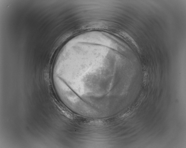 X0000075380882200610061836