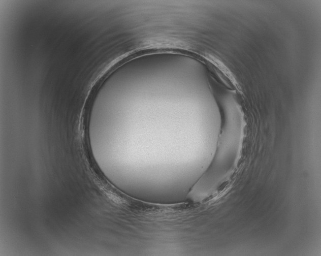 X0000075380885200610061836