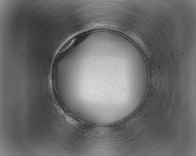 X0000075380888200610061836