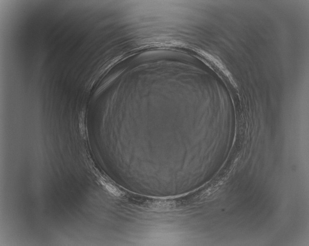 X0000075380889200610061836