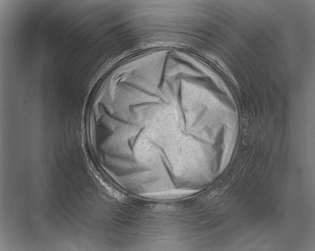 X0000075380890200610061836